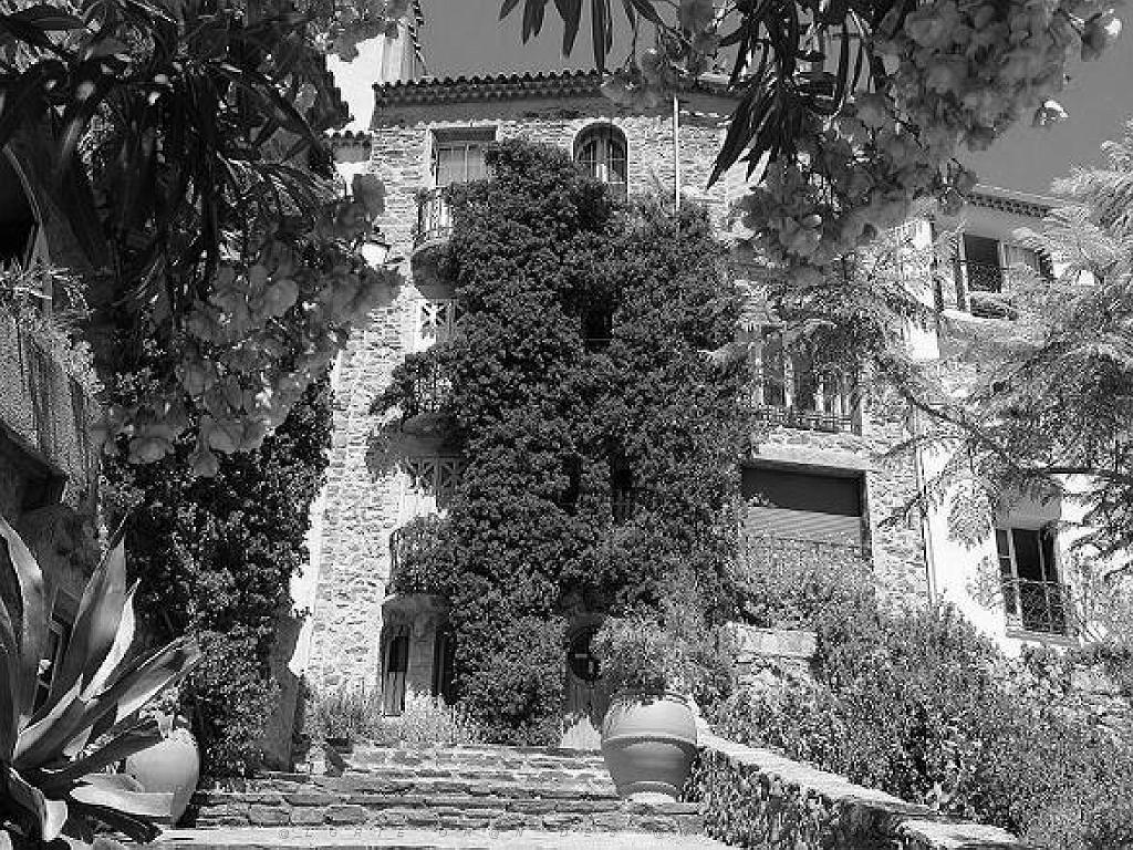 183 D23 BORMES LES MIMOSAS 1_000032.jpg